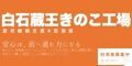 株式会社大丈夫