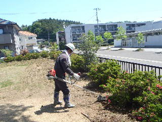 公園内の除草画像2