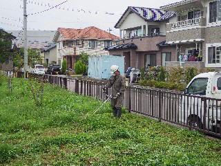 公園内の除草画像2